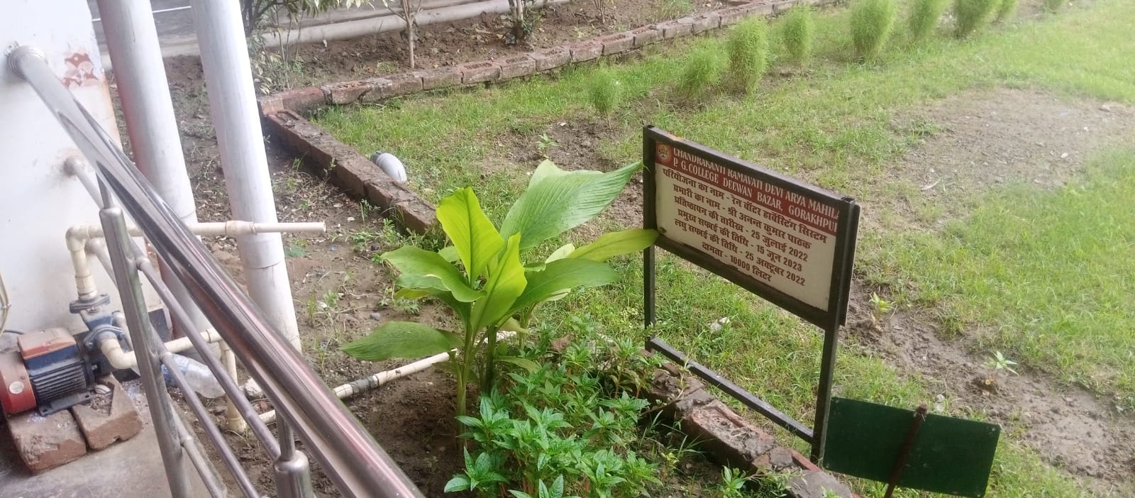 Rain Water Harvesting